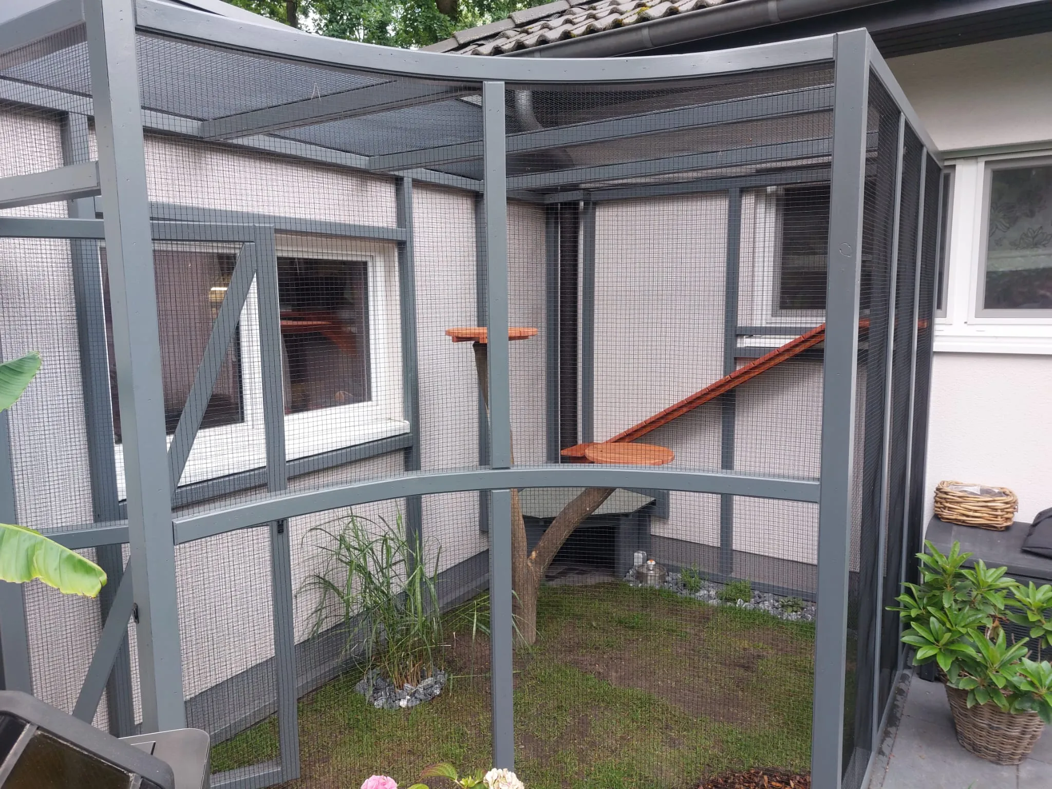 Katzengehege (Outdoor) – Bild 3