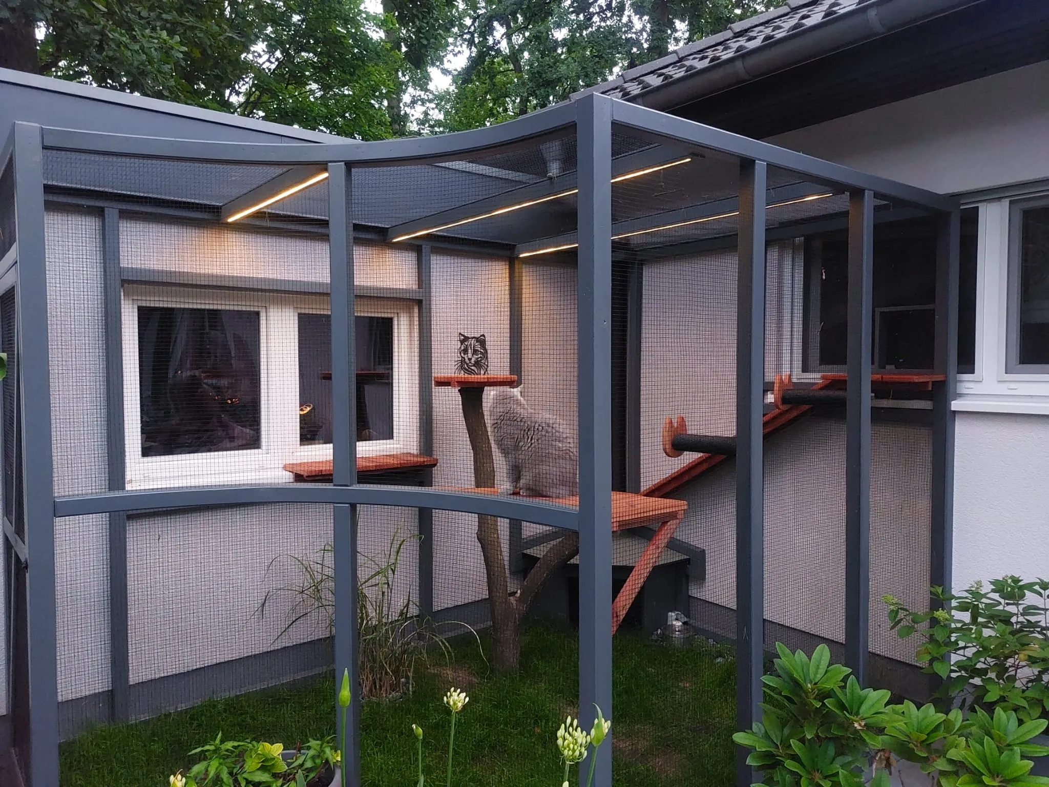 Katzengehege (Outdoor) – Bild 4